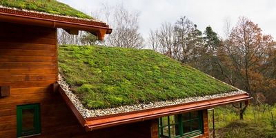Green Roofs